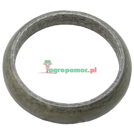  Sealing ring | 149200100060