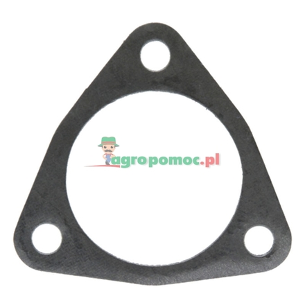  Sealing ring | 175200100030