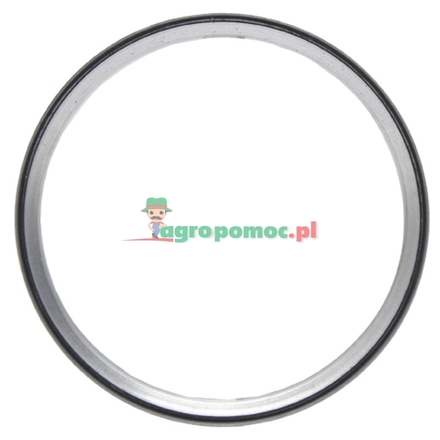  Sealing ring | F100003367428