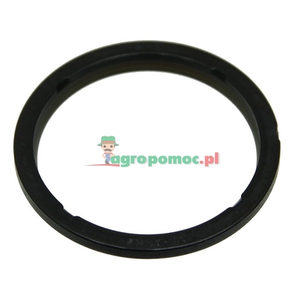  Sealing ring | H148011