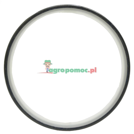  Sealing ring | R117817