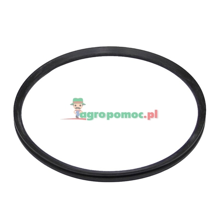  Sealing ring | 3801051M1