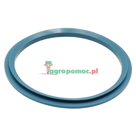  Sealing ring | 816300010510
