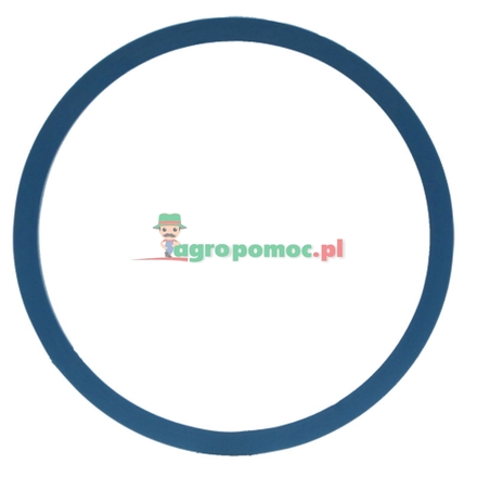  Sealing ring | 816300010500