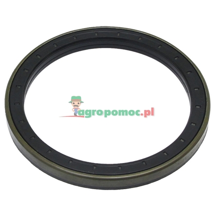  Sealing ring | F380303020541