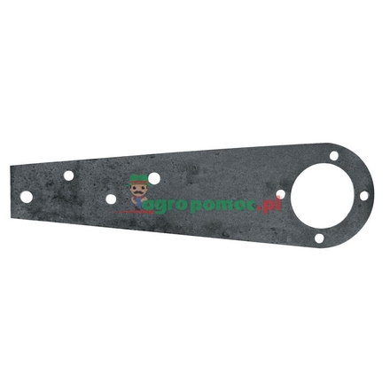  Spring leaf | 1405848R2