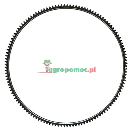  Starter ring gear | 04900286, 02131081