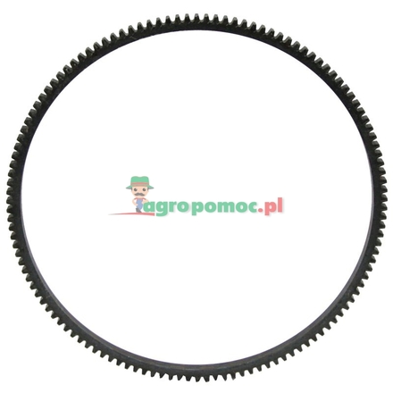  Starter ring gear | 02131084