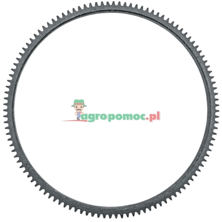  Starter ring gear | F180200310080