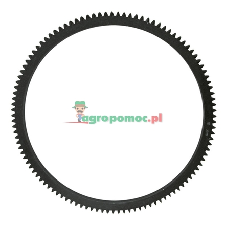  Starter ring gear | 4602143