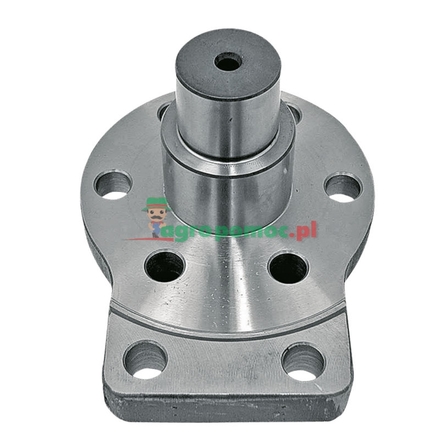  Steering pin | F268302020120