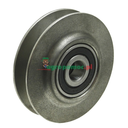  Tensioning pulley | 313895611