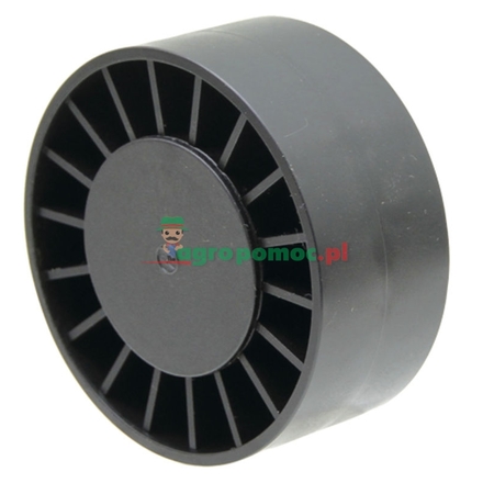  Tensioning pulley | G117880010020