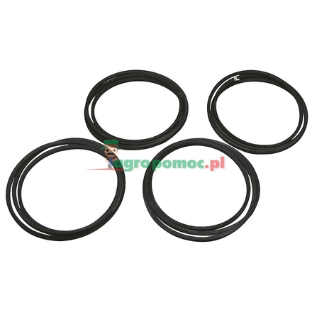  V-belt set | 921526.0