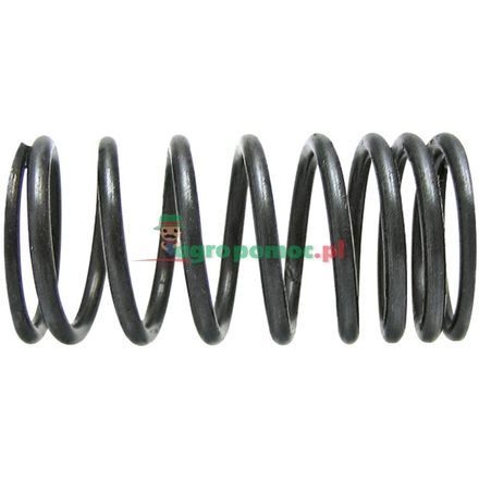  Valve spring | 735525M1