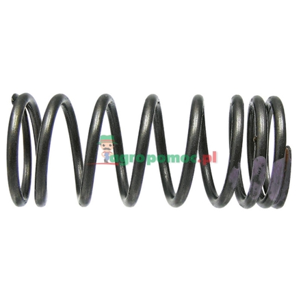  Valve spring | 4030530622
