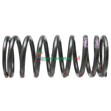  Valve spring | 4030531022