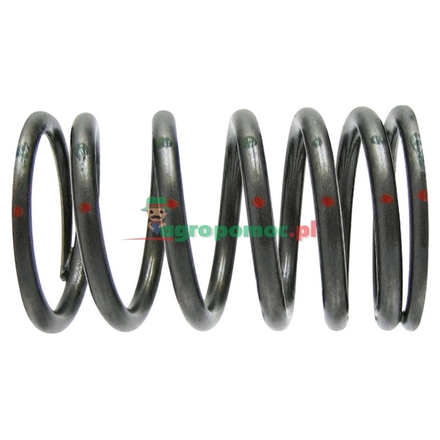  Valve spring | 4030530720
