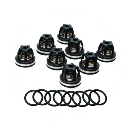 Annovi Reverberi Valve set