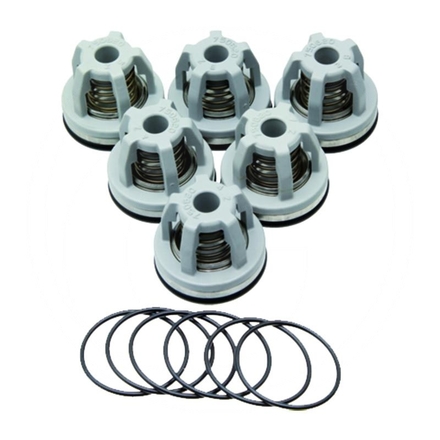 Annovi Reverberi Valve set