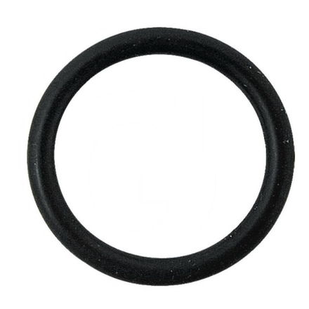 ARAG O-ring