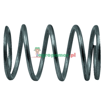 Arato Valve spring