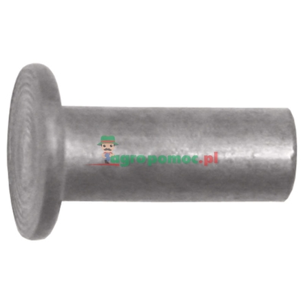 Arvin Meritor Rivets | 21200761PK100