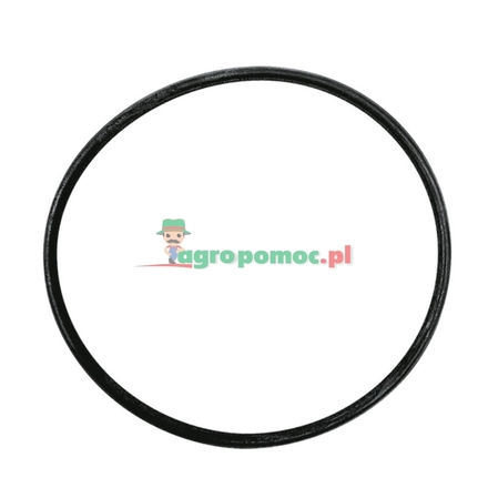 Belarus O-ring | 501002022A