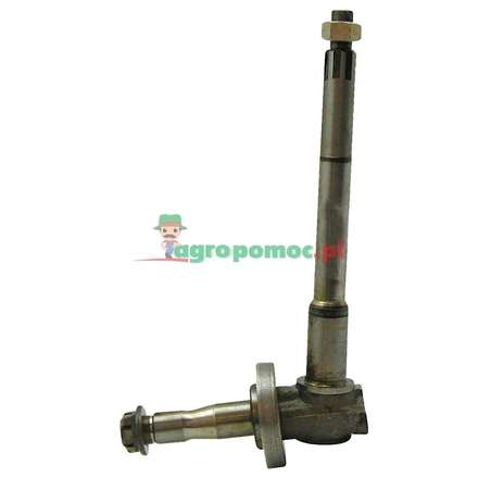 Belarus Steering knuckle | 70-300-1065-01