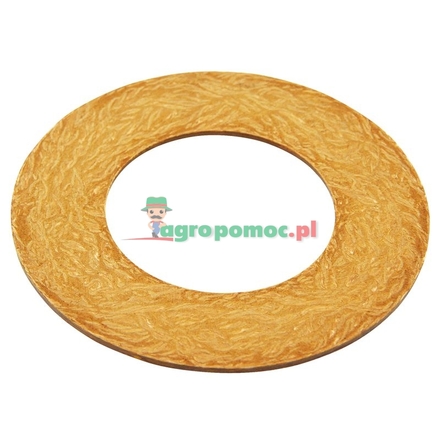 BONDIOLI & PAVESI Friction disc