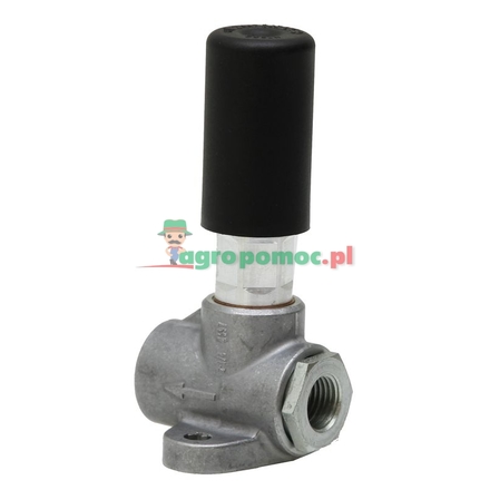 Bosch Leitungsförderpumpe