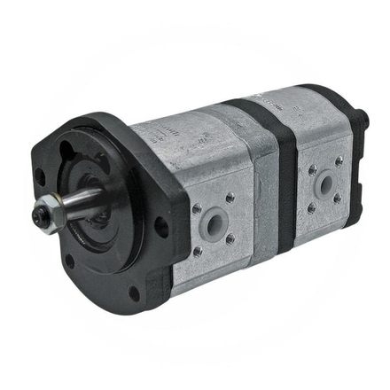 Bosch/Rexroth Double pump | RE6886