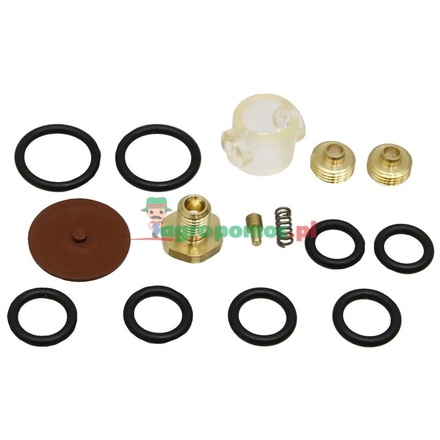 Braglia Replacement parts kit