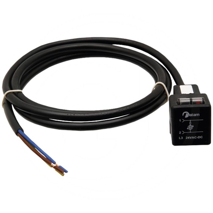 Braglia Valve solenoid