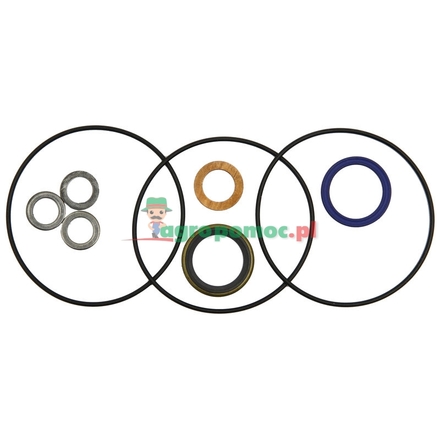 BREVINI Seal kit BGM