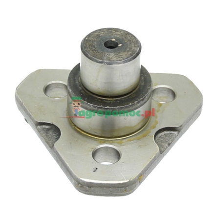 Carraro Bearing pin | 9968023, 137700410854