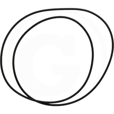 DANA Spicer Planetary carrier O-ring