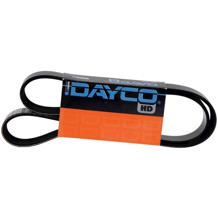 Dayco Keilrippenriemen