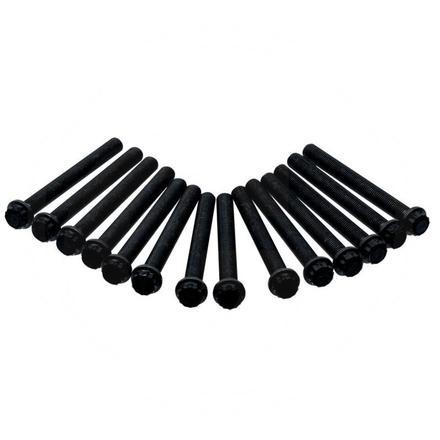 Elring Cylinder head bolt set | 060.190