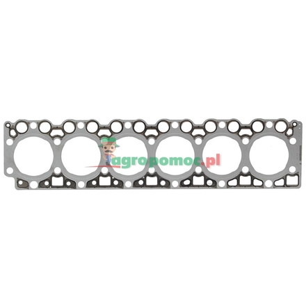 Elring Cylinder head gasket | F934201210500
