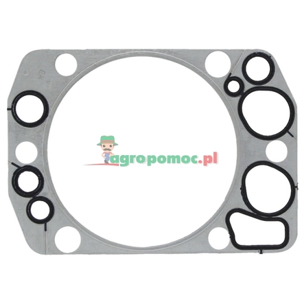 Elring Cylinder head gasket | 4420160320