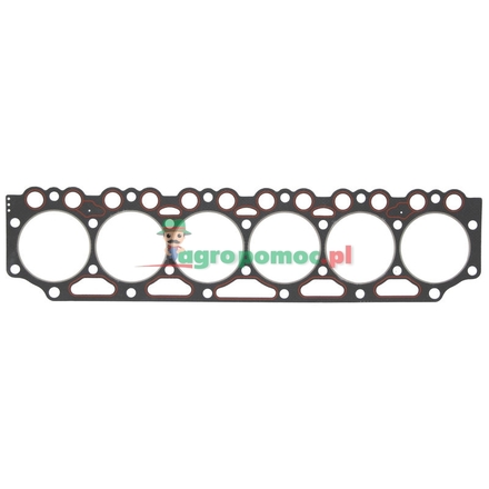 Elring Cylinder head gasket | 04201561
