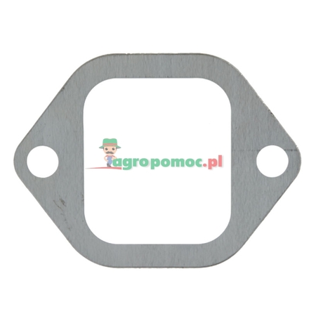 Elring Exhaust manifold gasket | 4031420380