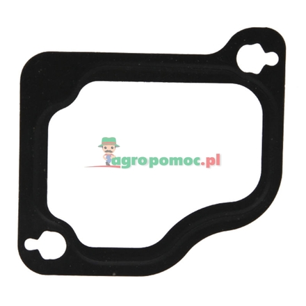Elring Intake gasket | F934201090020