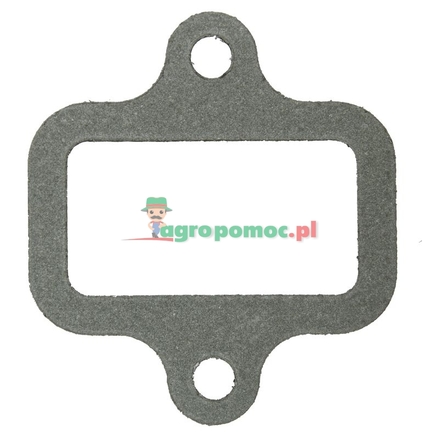 Elring Intake manifold gasket | F816200090090