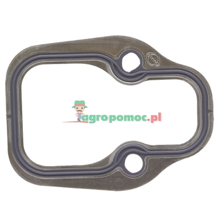 Elring Intake manifold gasket | 4421411780