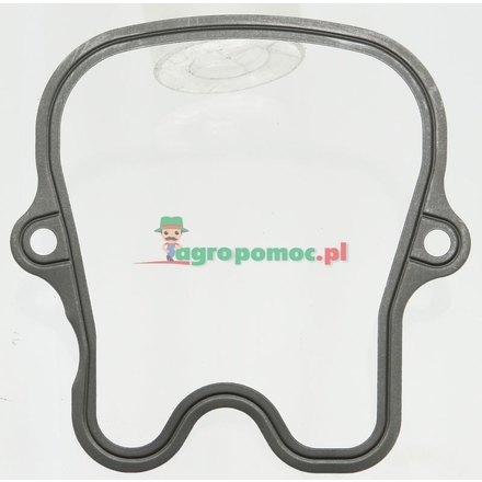 Elring Valve cover gasket | 4420160621