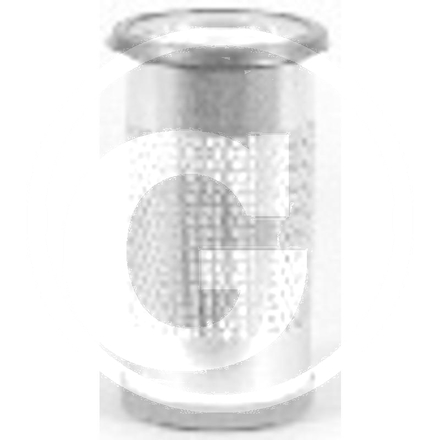 Fleetguard Air filter