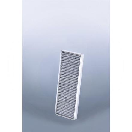 Fleetguard Luftfilter, Sekundär, AF55702