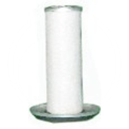 Fleetguard Secondary air filter